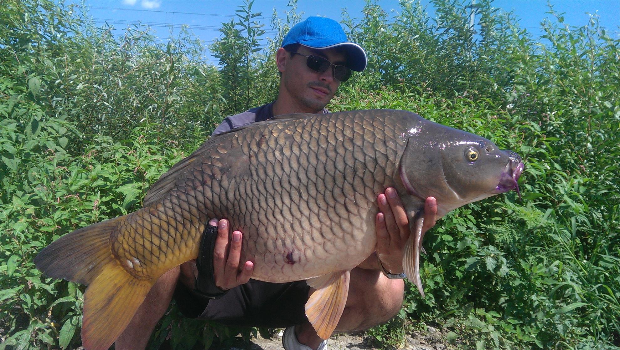 Hermes Peris 22 - 23 iunie 2014 - imag11511.jpg